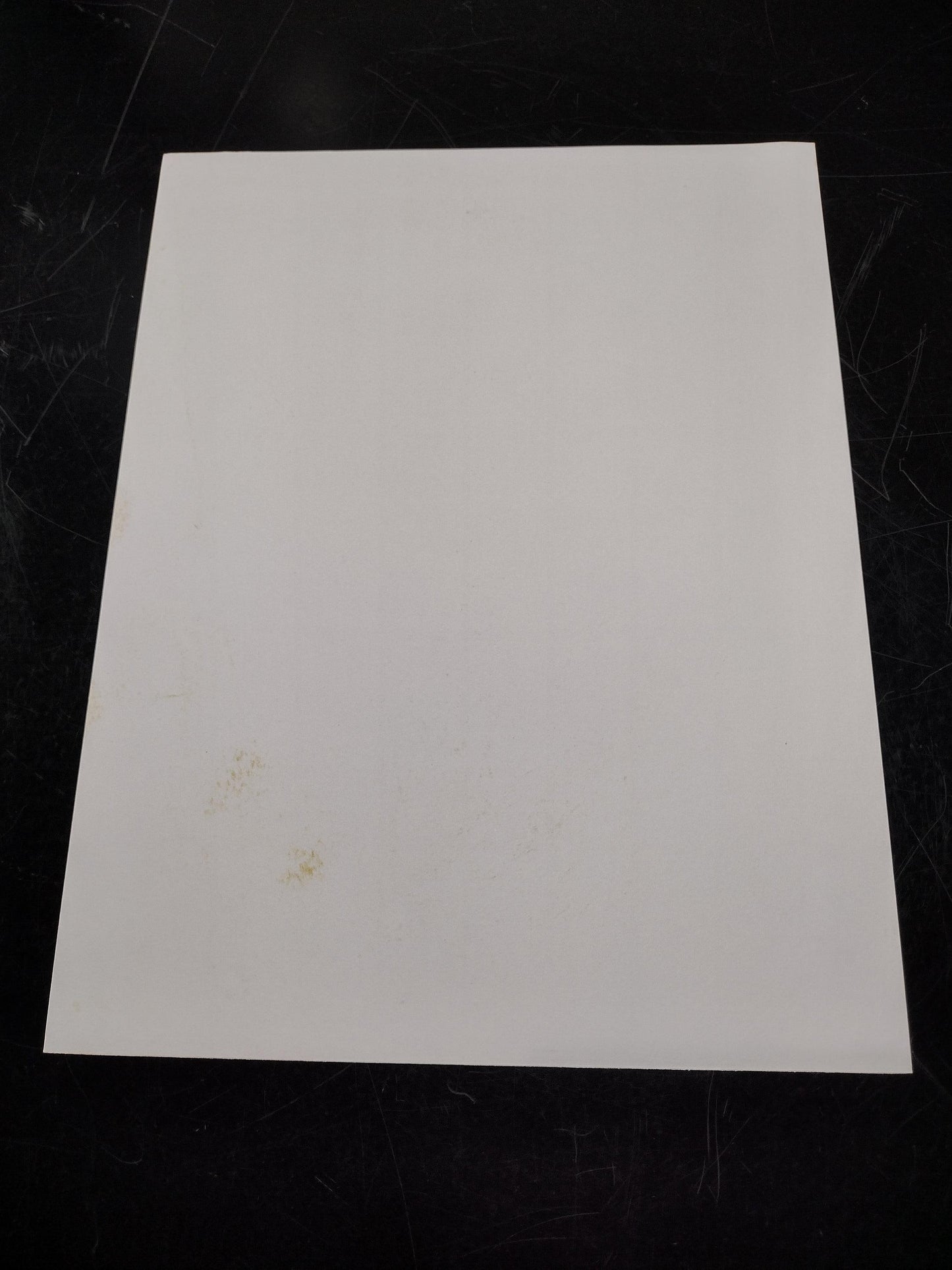 US Government Privacy Act Data Cover Sheet Laminated Heavy Paper Sign | FREE US Shipping