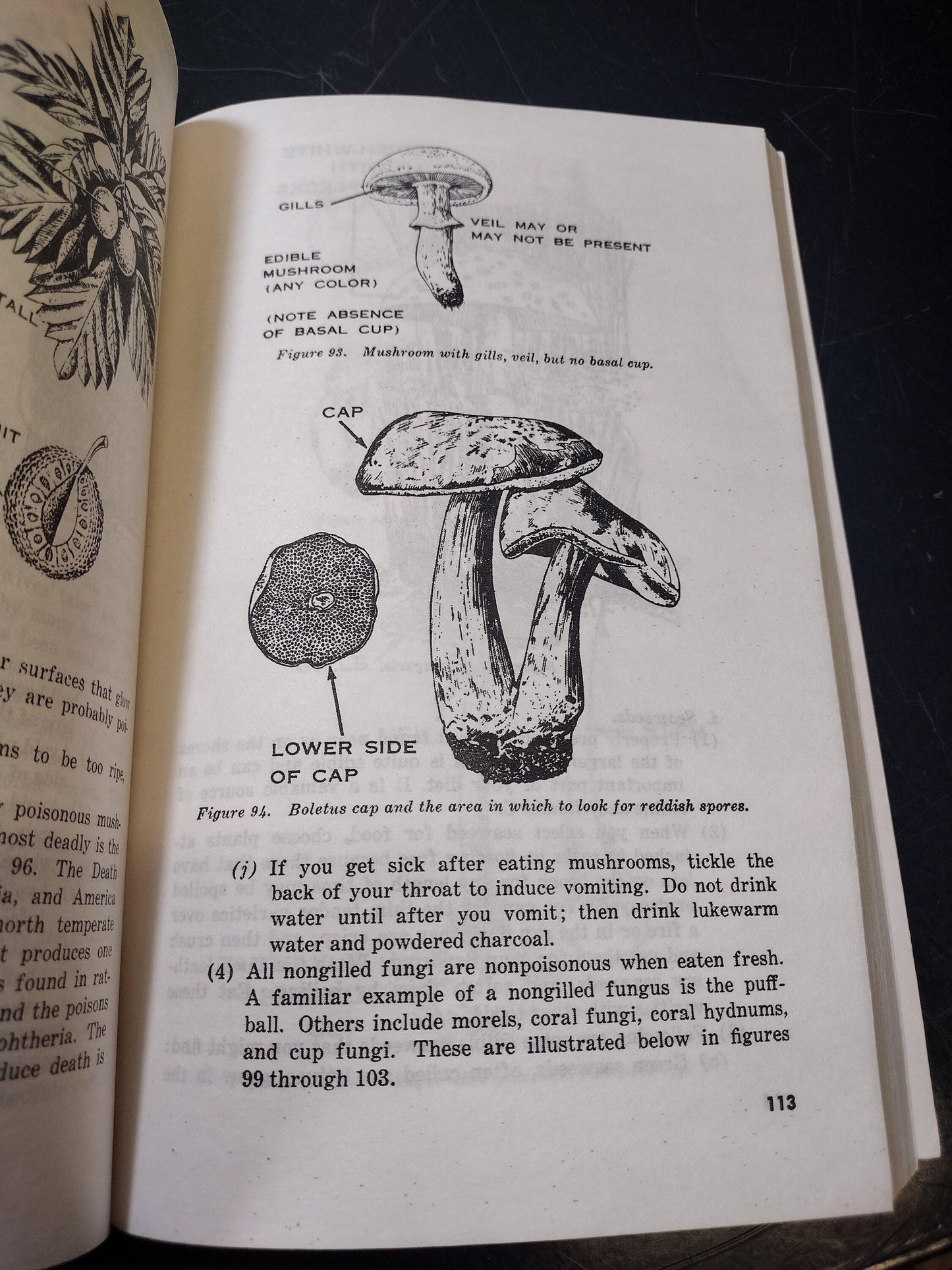 US Army Survival Ephemera Pamphlet Booklet (1970 FM 21-76) | FREE Us Shipping!